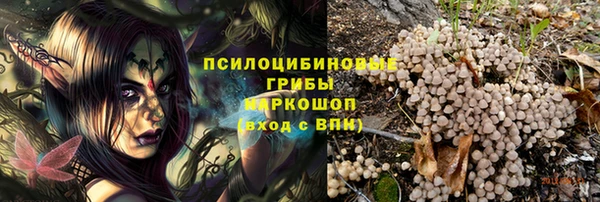 СК Михайловск