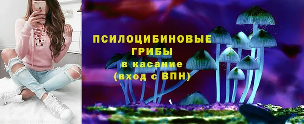 дмт Михайлов